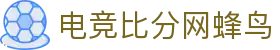 足球即时比分与最新赛果查询平台，实时追踪比赛进程